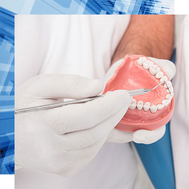 Dachau-Zahnarzt-Dr.-Gitt---Parodontologie Der Dachauer Zahnarzt Dr. Gitt demonstriert an einem Zahnmodell die Paradontosebehandlung.